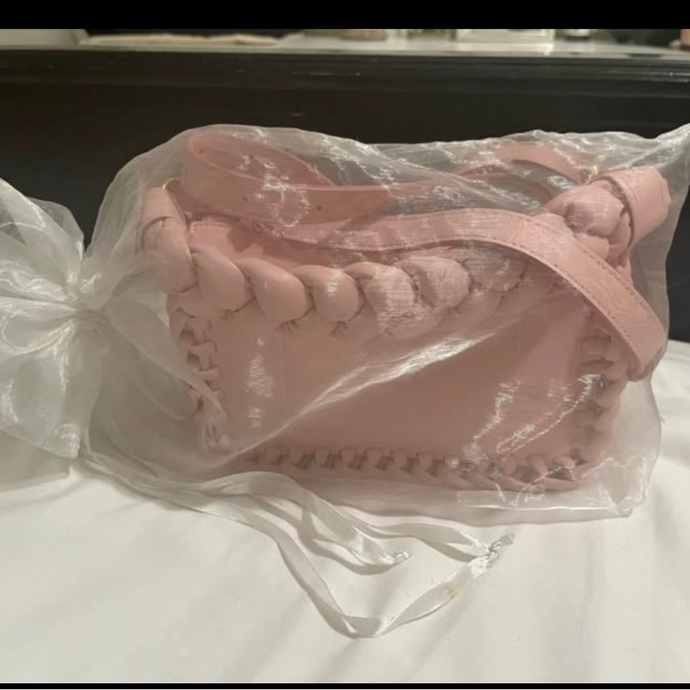 Altuzarra Light Pink Braided Shoulder Bag